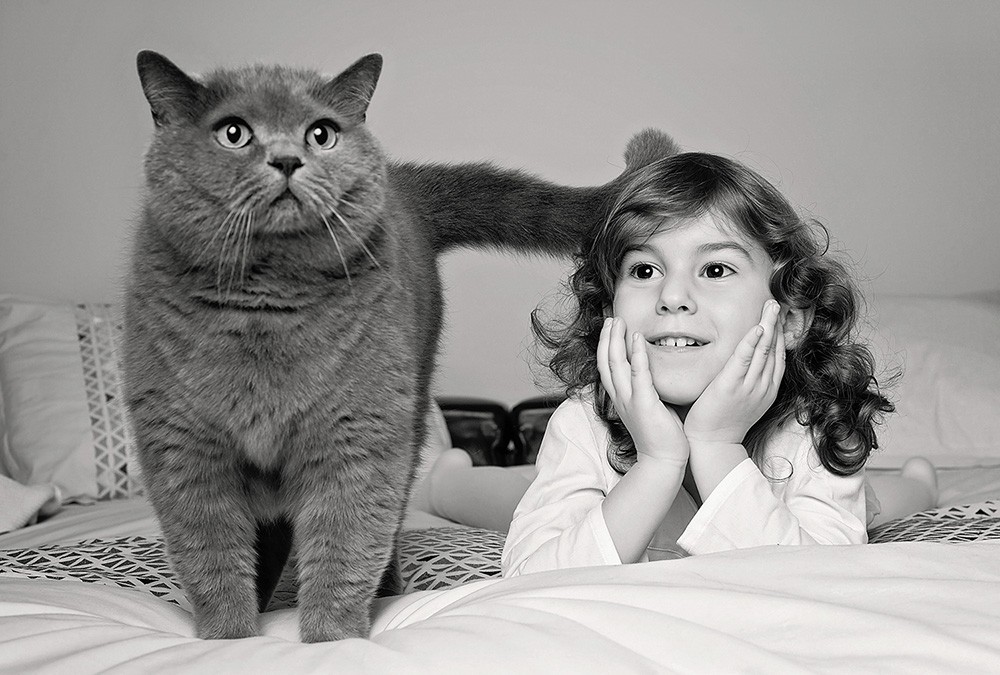 professional family photoshoot with a cat at home london